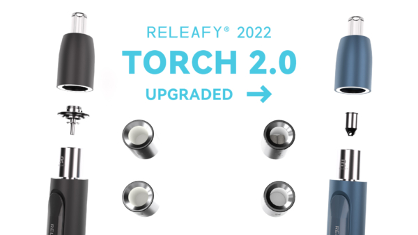 Torch 2.0 upgrade